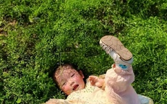 一本道是什么意思